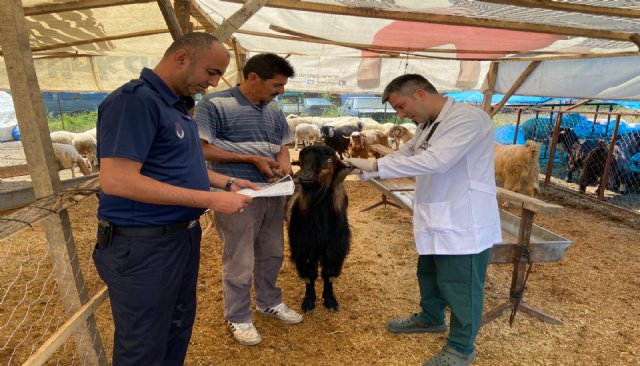 BELEDİYE KURBAN PAZARINI DENETLEDİ, KURBAN YAKALAMA TİMİ KURDU